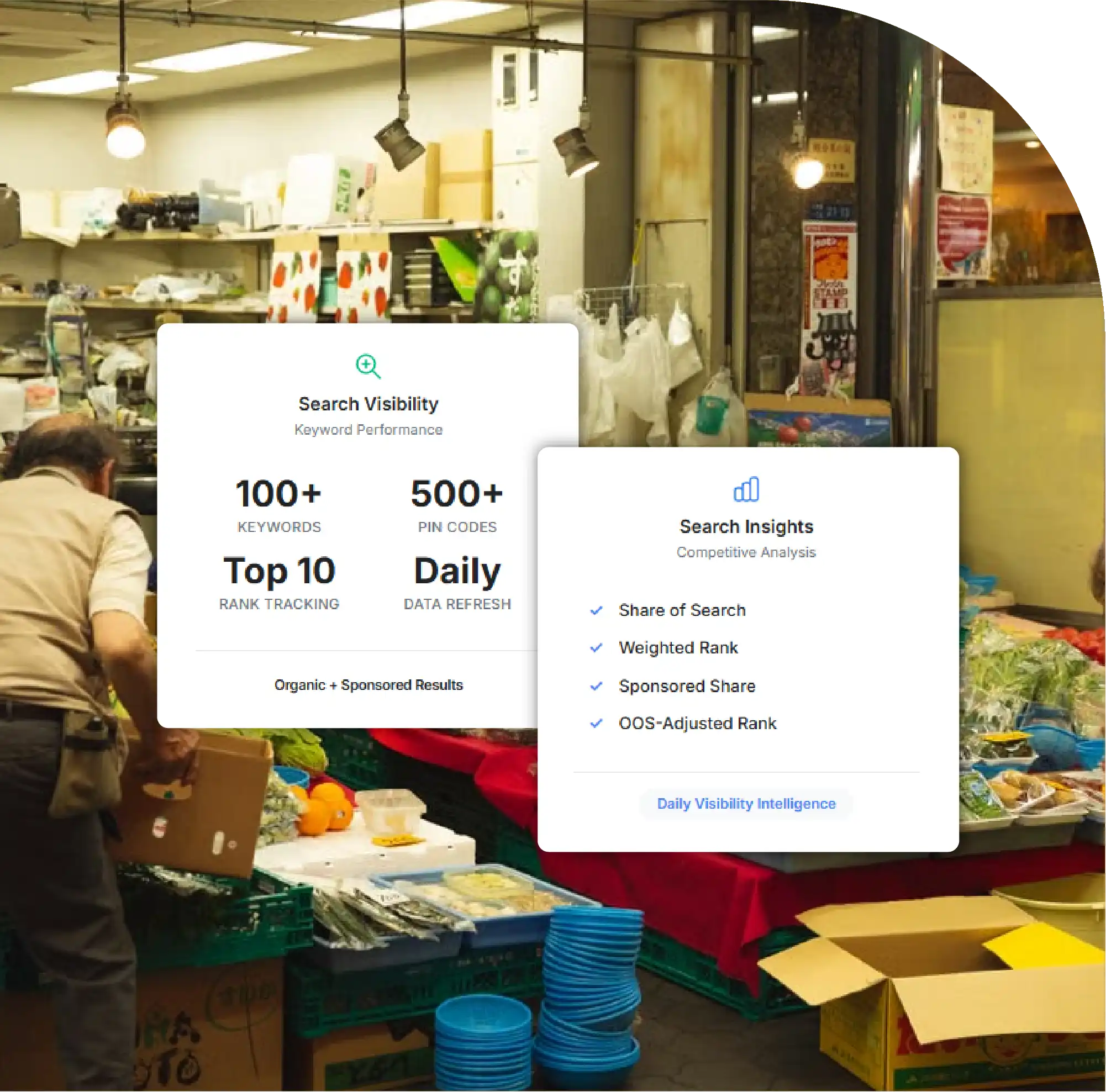 Report Overview